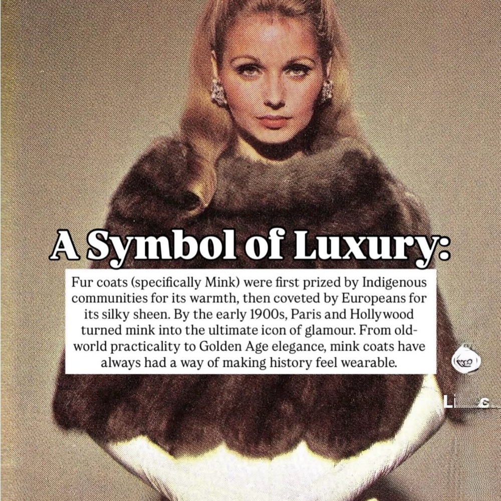 Luxurious Brown Mink Fur Coat